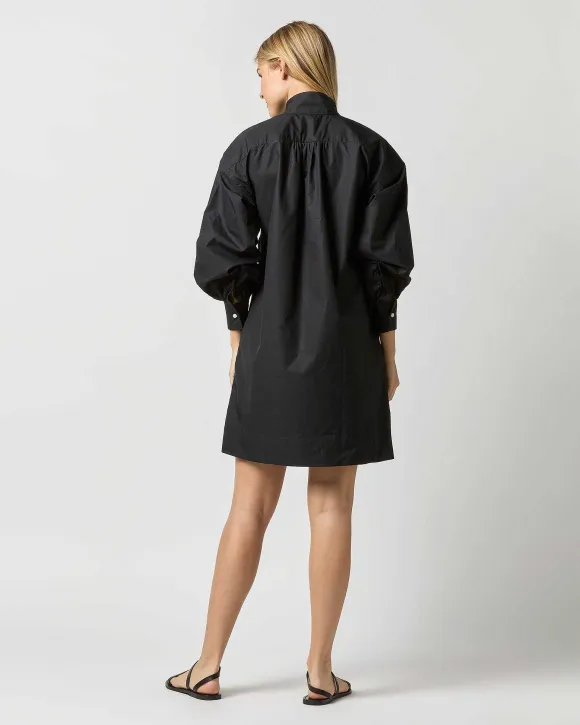 Anaya Popover Dress