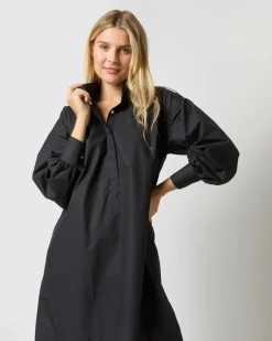 Anaya Popover Dress