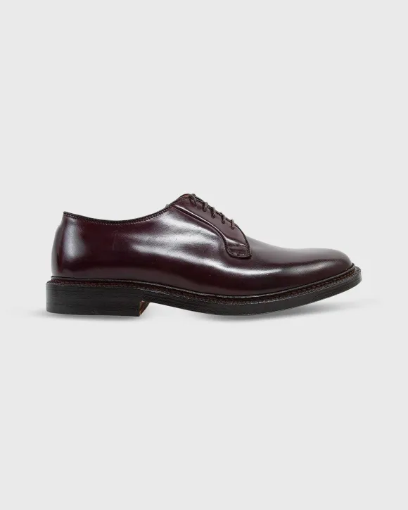 Blucher