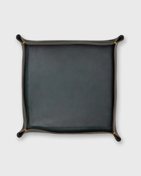 Large Tray