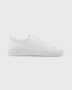 Low-Top Lace-Up Sneaker