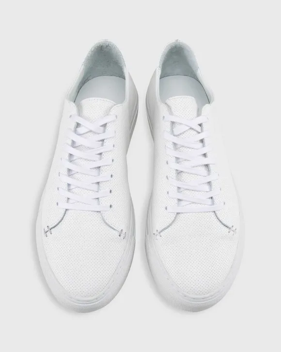 Low-Top Lace-Up Sneaker