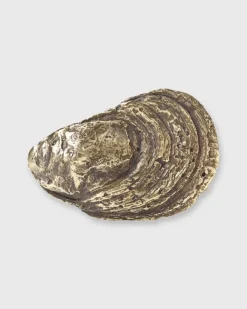 Oyster Shell Belt Buckle
