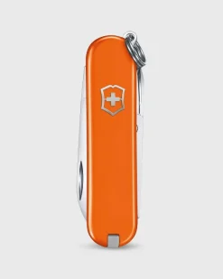 Swiss Army Knife